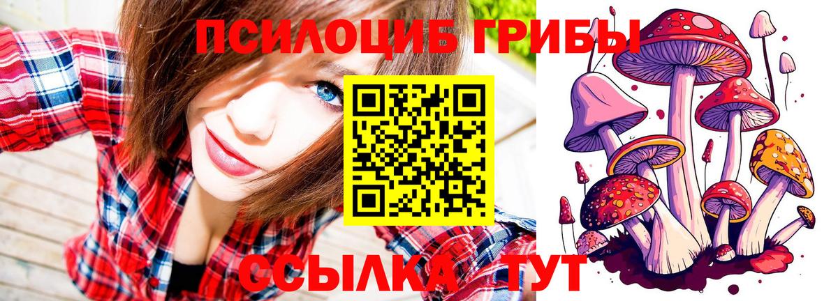 Псилоцибиновые грибы MAGIC MUSHROOMS Омск